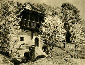 农舍，奥地利克恩顿州，建于1935年。 作者 不明