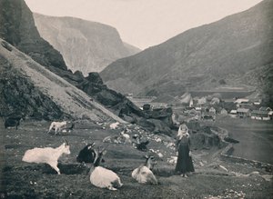 《火焰》，1914年。 作者 不明