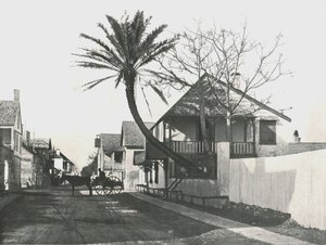 美国圣奥古斯丁弗朗西斯街，1895年。 作者 不明