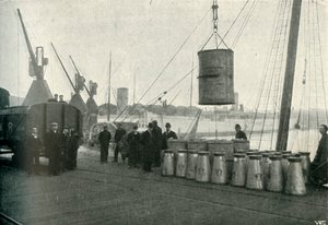 1902年，法国牛奶降落在南安普敦。 作者 不明