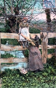 法国明信片，c1900 作者 不明