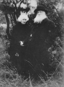 法国雕塑家奥古斯特·罗丹（Auguste Rodin）于1916年在其默登（Meudon）的别墅公园里拍照，1939年 作者 不明