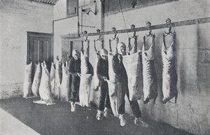 冷冻肉，1923年。 作者 不明