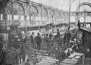 1901年在伦敦考文特花园市场的水果拍卖 作者 不明