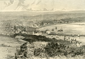 道格拉斯全景，1898年。 作者 不明