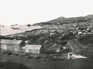 1895年，葡萄牙马德拉岛，丰沙尔全景。 作者 不明