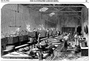 1852年，伦敦猎犬狗城里奇与麦考尔斯制罐厂的厨房全景图 作者 不明