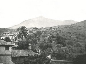 显示山顶的全景，特内里费岛，加那利，西班牙，1895年。 作者 不明