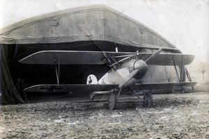 1918年1月2日，法国苏伊尔，德国信天翁DV 作者 不明