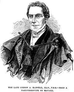 Gideon Algernon Mantell，英国地质学家，1852年 作者 不明