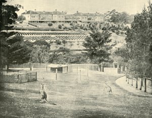 Gladesville精神病院，新南威尔士，1901年。 作者 不明