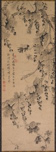 葡萄树，1700到1800年代。 作者 不明