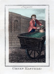 格林·黑斯德斯（Green Hasteds），纽盖特，伦敦，1805年 作者 不明