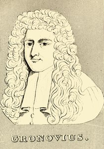 Gronovius，一六九○年至1762年，1830。 作者 不明