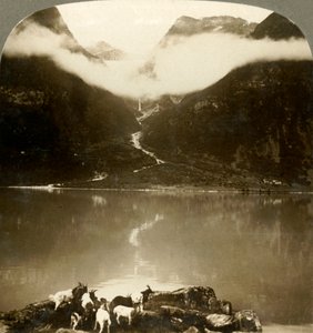 Grytereids冰川在浮云之上闪闪发光，穿越平静的奥尔登湖，挪威，约于1905年。 作者 不明