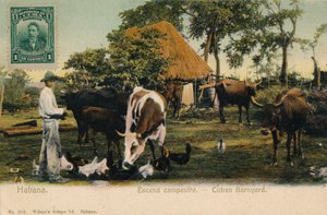 哈瓦那乡村风景-古巴Bar，c1910 作者 不明