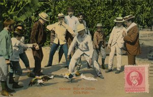 哈瓦那：里纳·德·加洛斯。斗鸡（Cock Fight），1918年 作者 不明