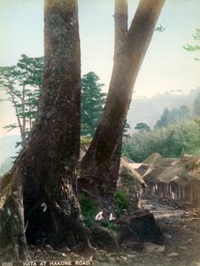 20世纪初，日本箱根路的羽田 作者 不明