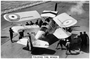 1937年，HMS Eagle号航空母舰甲板上的小贩鱼鹰 作者 不明