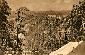 西姆拉卡苏姆蒂附近的大雪，c1918-c1939。 作者 不明