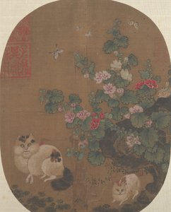 冬青树和猫。 作者 不明