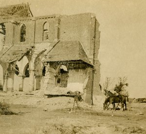 在法国北部弗里斯，损毁的教堂附近放牧的马匹，c1914-c1918 作者 不明