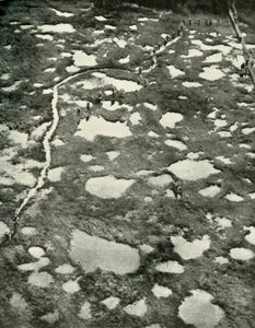 《天气如何阻碍前进》，1919年。 作者 不明