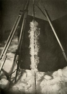 鱼圈上形成的冰晶，c1908，1909年 作者 不明