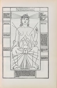 插图来自Johannes de Ketham的Fasciculo di medicina，1493年。 作者 不明