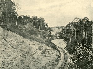 在1901年的“ Blackall山脉”中。 作者 不明