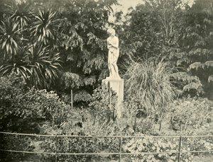 1901年，在墨尔本菲茨罗伊花园（Fitzroy Gardens）中。 作者 不明