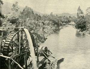 1901年在日耳曼敦的烤箱河中。 作者 不明