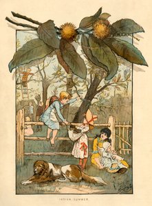 1883年的印度夏。 作者 不明
