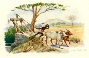 印度水上电梯。 作者 不明