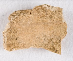 甲骨文碎片，商代晚期，约公元前1300-1050年。 作者 不明