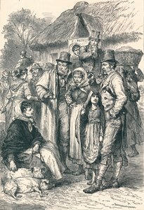 爱尔兰农民，1896年 作者 不明