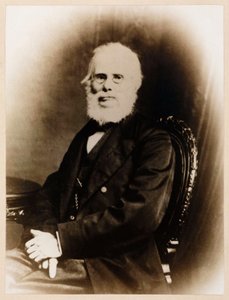 John Stringfellow，英国先锋航空家，约1880年 作者 不明