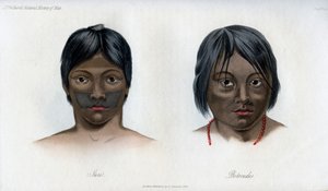 布拉西里奥-瓜拉尼民族的尤里和博托库多斯，1848年 作者 不明