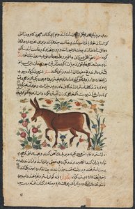 喀尔·阿斯（Khar Ass），来自《努扎特·纳玛·伊·阿莱》杰出律师杂志，1400年代。 作者 不明