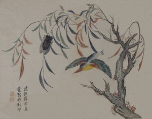 翠鸟、蝉和柳树，19世纪。 作者 不明