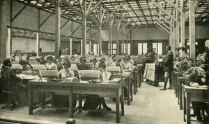 1901年，《女士文员制表美国人口普查归还》。 作者 不明