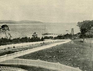 麦觉理湖，1901年，多伦多。 作者 不明