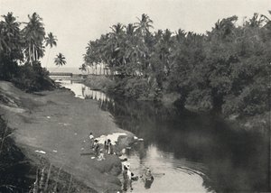 1926年在科伦坡和拉维尼亚山之间的德希瓦拉河上景观 作者 不明