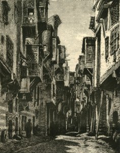 1890年在开罗科普特区的巷 作者 不明