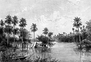 Las Palmes Lagunas，靠近皮尔科马约河口，1895年 作者 不明