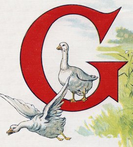 字母 G：好鸭子。 雕刻在“ABC L