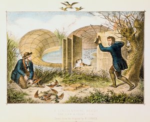 林肯郡鸭诱饵，c1845 作者 不明