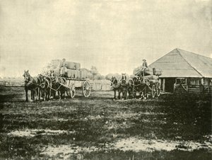 1901年，在Wimmera的Warrawooh站装载羊毛。 作者 不明