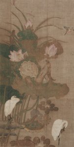 荷花，昆虫和鸟类，1800年代。 作者 不明
