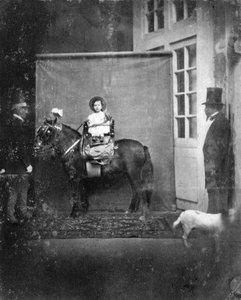 帝国王子路易·拿破仑（Louis Napoleon），小马，c1860-1863年 作者 不明